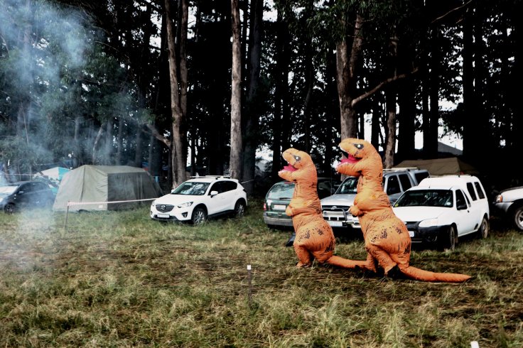  Dinosaurs out on the jol…  
