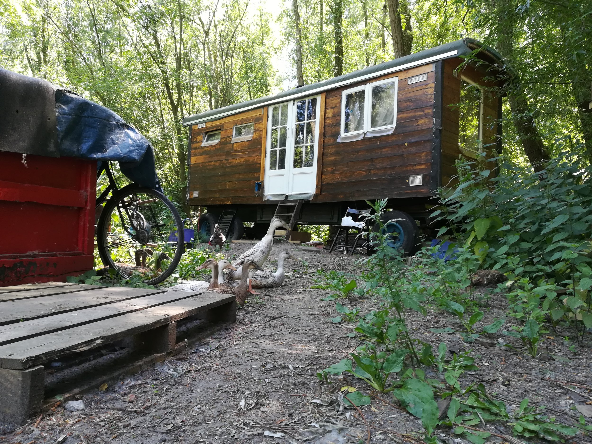  Neighbours included this noisy bunch 