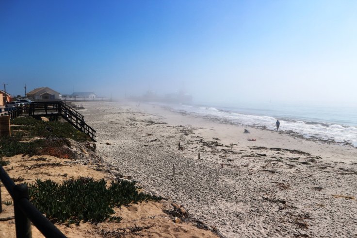  The mist rolls in off the West Coast icy ocean. 