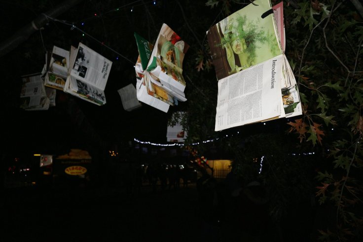   Books in the trees - 2019  