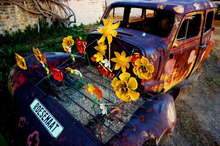  Flowers made of iron - Nieu-Bethesda 