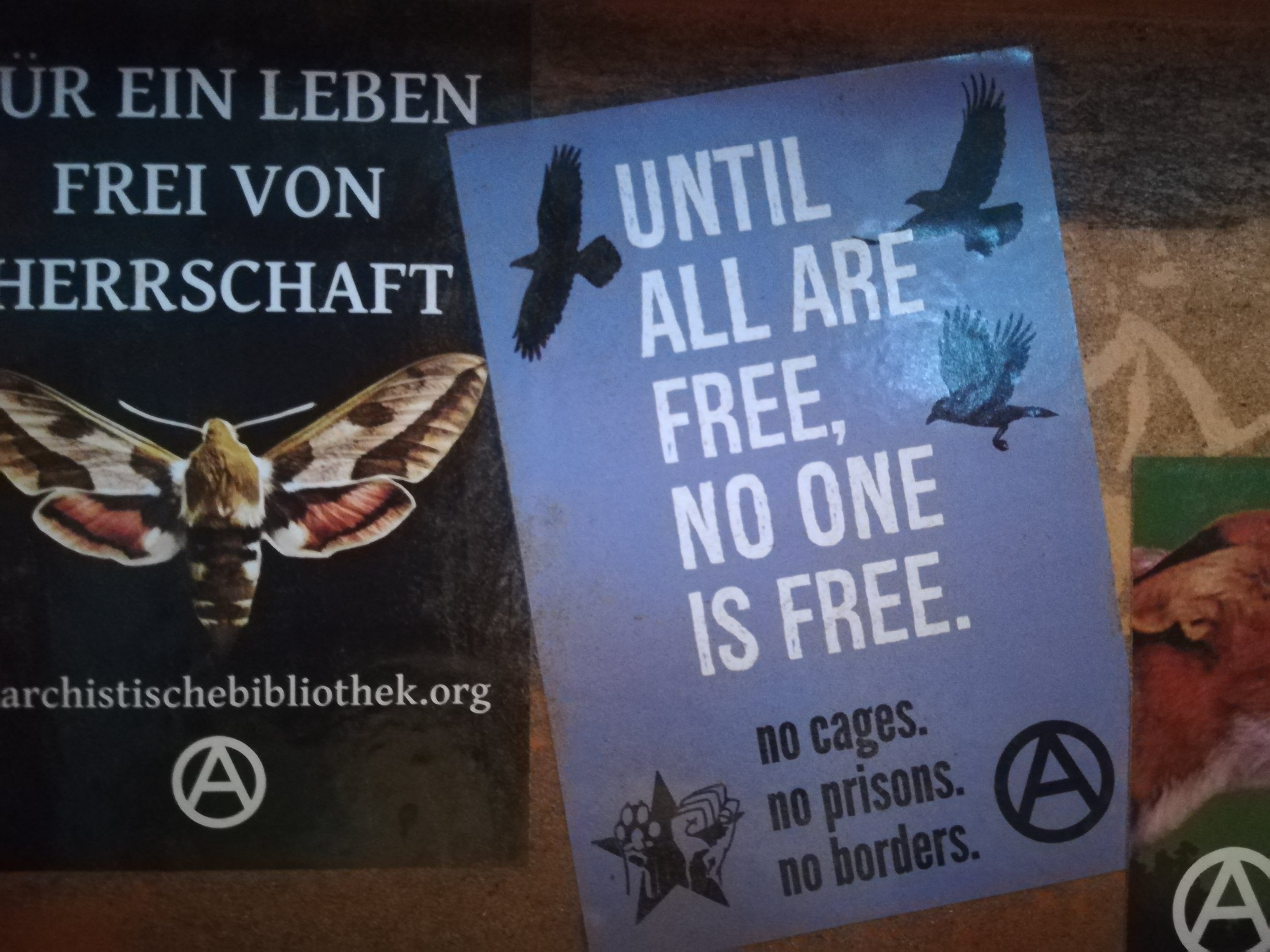  Art in the toilet of ADM 