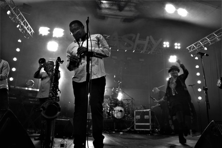   Mango in the Groove - 2018  